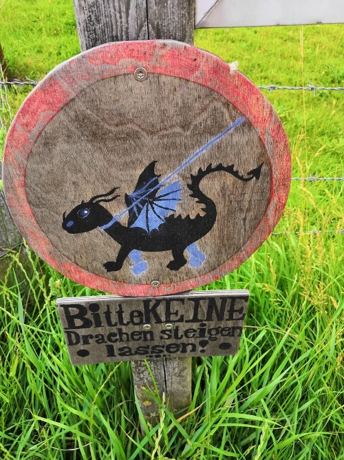 Please do not fly dragons!