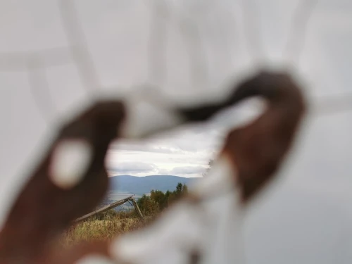 View through a rusty sign.