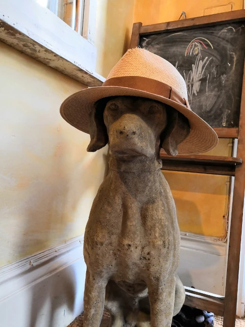 A beautiful hat also makes a dog look even more beautiful.