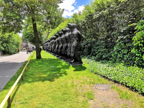 A gang of gorillas stare at the sky...