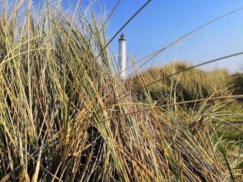 A beautiful Lighthouse hiding....