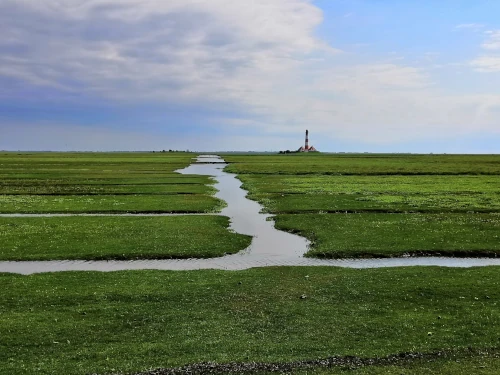 A beautiful lighthouse in the middle of salt marshes.