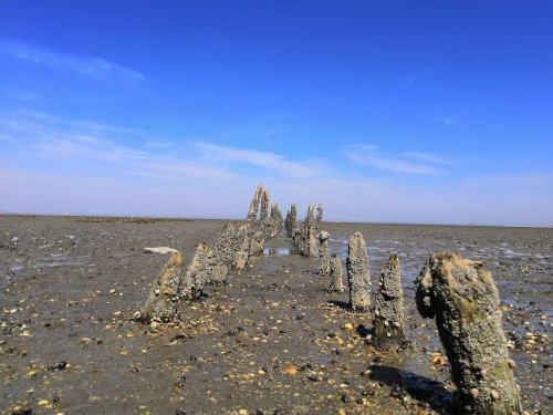 Far-retarded water at low tide.