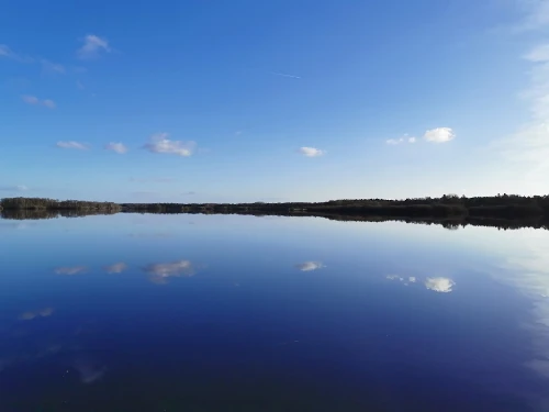 Despite all the stress of these times, this lake lies in complete peace. Perfect view to relax!