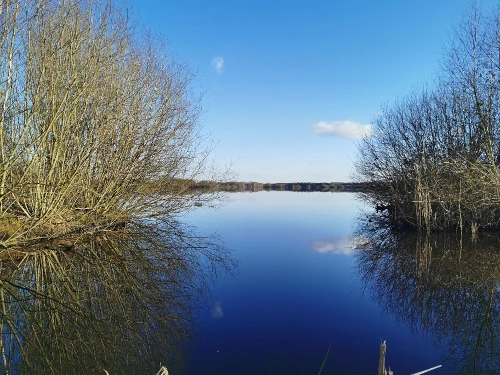 Water so calm, it could be a mirror!